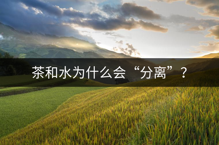 茶和水為什么會“分離”？