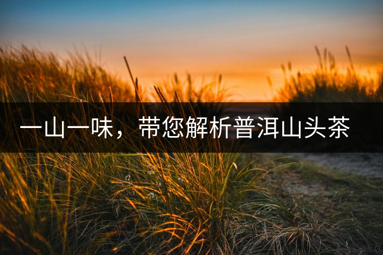 一山一味，帶您解析普洱山頭茶的密碼究竟是什么？