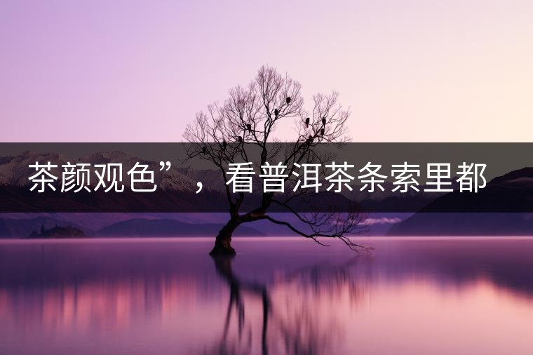 茶顏觀色”，看普洱茶條索里都蘊含著怎樣的“密碼”？
