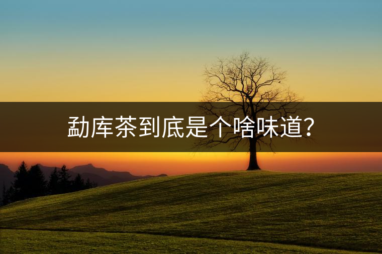 勐庫茶到底是個(gè)啥味道？