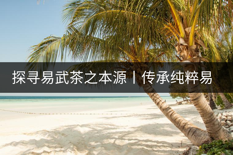 探尋易武茶之本源丨傳承純粹易武味