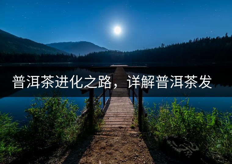 普洱茶進化之路，詳解普洱茶發(fā)展的三大重要階段