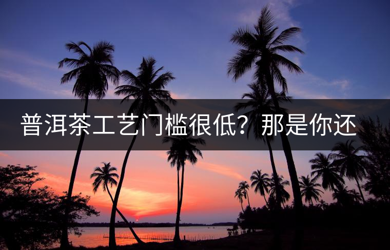 普洱茶工藝門檻很低？那是你還沒有參透工藝與自然之間的奧秘！
