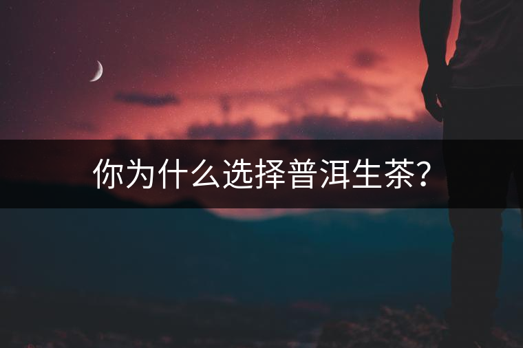 你為什么選擇普洱生茶？