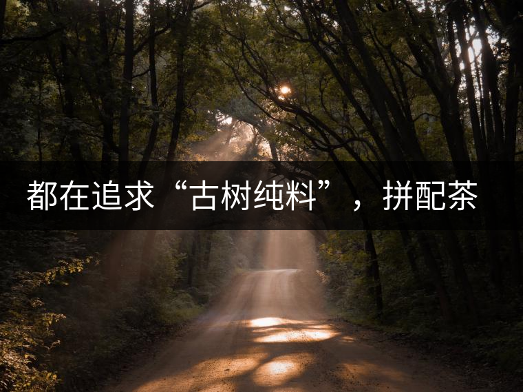 都在追求“古樹純料”，拼配茶真的不如純料的？