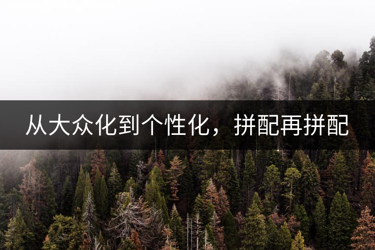 從大眾化到個(gè)性化，拼配再拼配