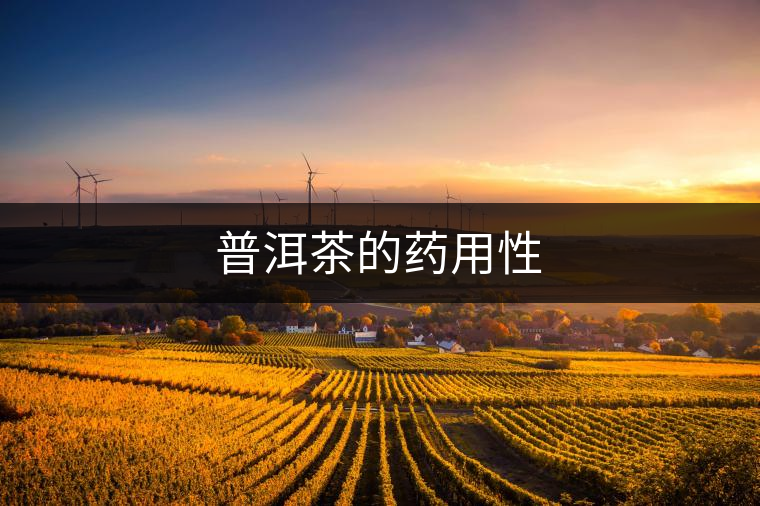 普洱茶的藥用性 普洱茶的藥用性