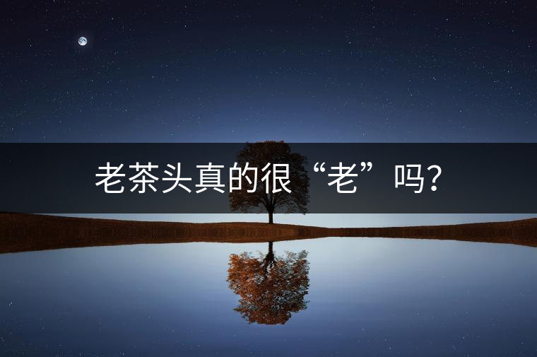 老茶頭真的很“老”嗎？