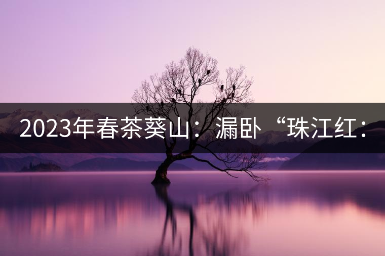 2023年春茶葵山：漏臥“珠江紅：1200元-3200元（有3個檔次）漏臥“大廠茶”：古樹單株8600-9000元／公斤，中樹4800-5200元／公斤，小樹混采2600-2800元／公斤。