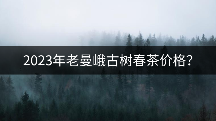 2023年老曼峨古樹春茶價(jià)格？