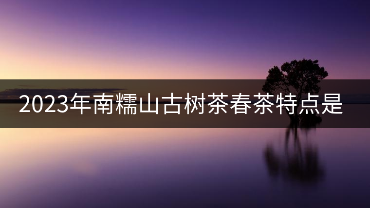 2023年南糯山古樹茶春茶特點(diǎn)是什么？