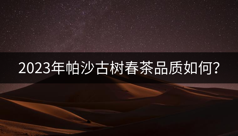 2023年帕沙古樹春茶品質(zhì)如何？