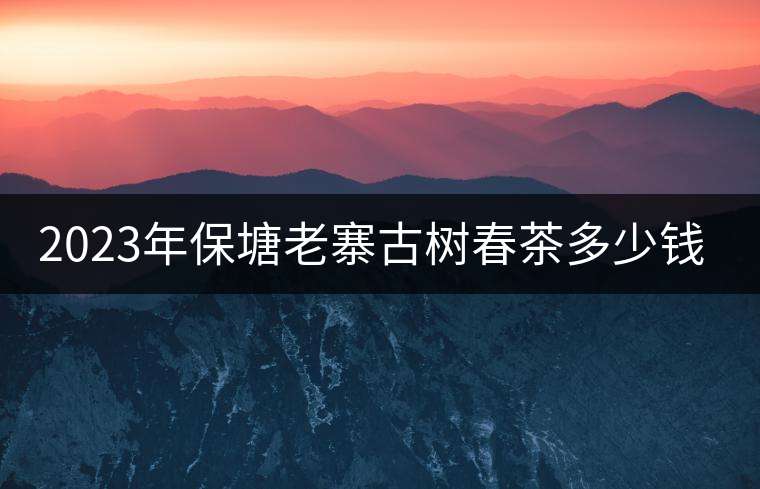 2023年保塘老寨古樹春茶多少錢一公斤？