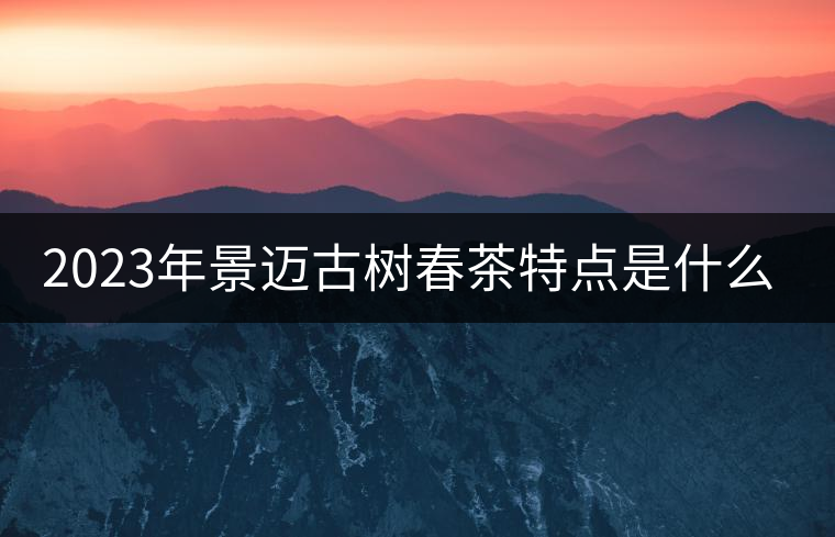 2023年景邁古樹春茶特點是什么？