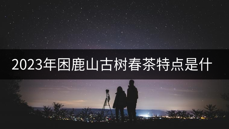 2023年困鹿山古樹春茶特點是什么？