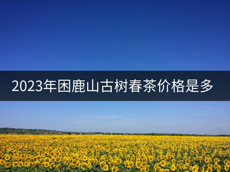 2023年困鹿山古樹春茶價(jià)格是多少？
