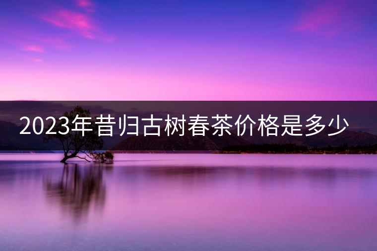 2023年昔歸古樹(shù)春茶價(jià)格是多少？