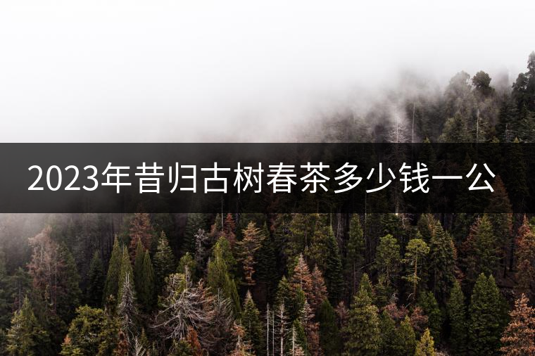 2023年昔歸古樹春茶多少錢一公斤？