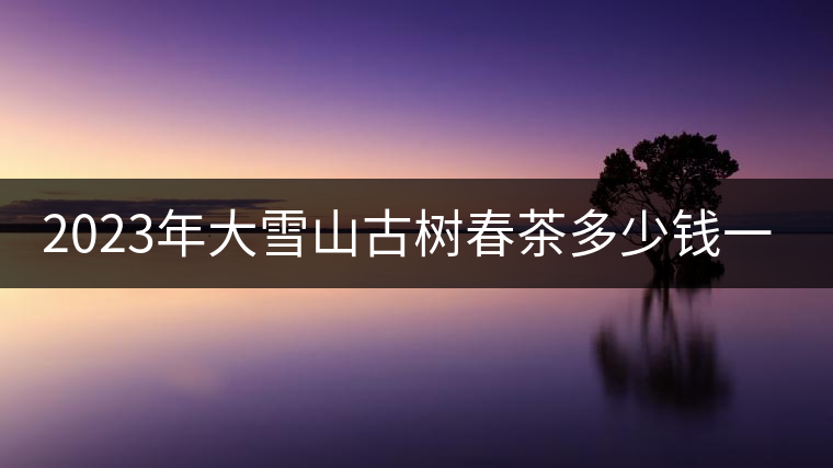 2023年大雪山古樹春茶多少錢一公斤？