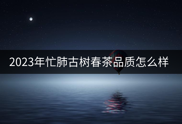 2023年忙肺古樹春茶品質(zhì)怎么樣？