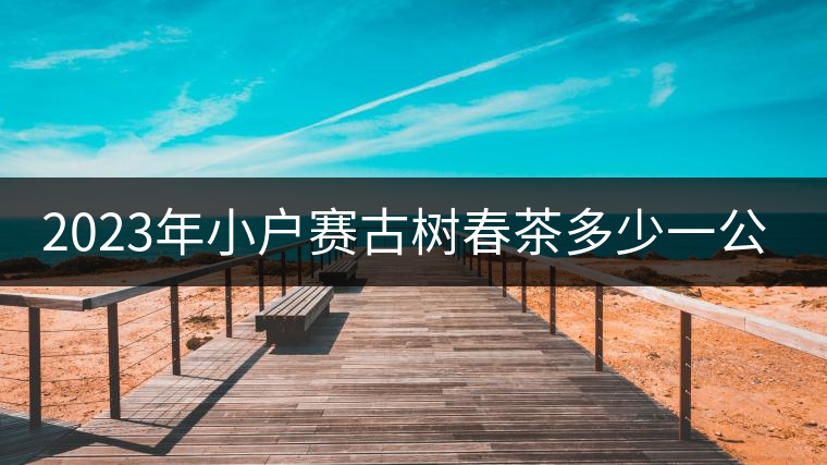 2023年小戶賽古樹春茶多少一公斤？