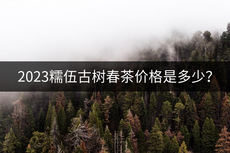 2023糯伍古樹春茶價格是多少？