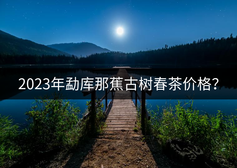 2023年勐庫那蕉古樹春茶價格？
