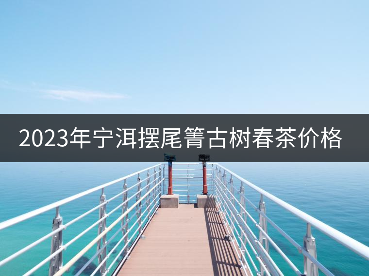 2023年寧洱擺尾箐古樹春茶價(jià)格是多少？