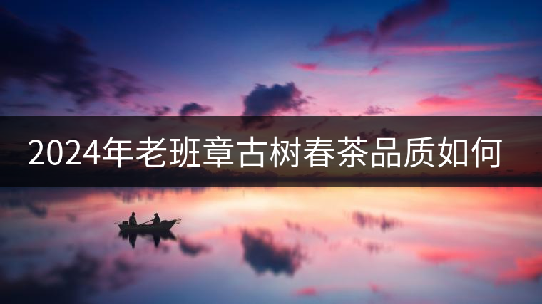 2024年老班章古樹春茶品質(zhì)如何？