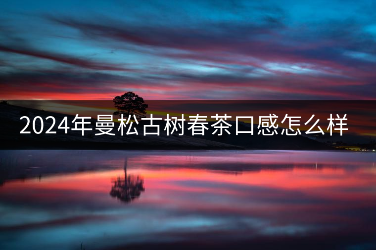 2024年曼松古樹春茶口感怎么樣？