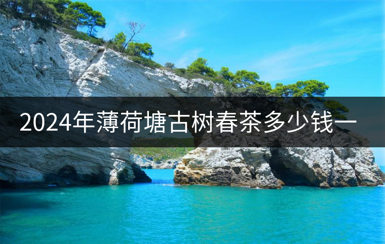 2024年薄荷塘古樹春茶多少錢一公斤？