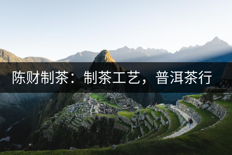 陳財制茶：制茶工藝，普洱茶行業(yè)的生死線