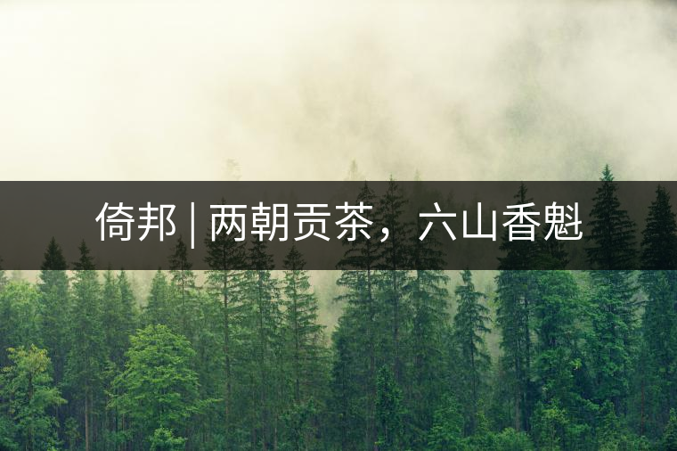 倚邦 | 兩朝貢茶，六山香魁