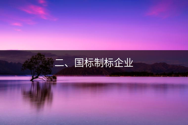 二、國標(biāo)制標(biāo)企業(yè)