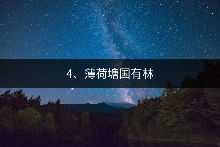 4、薄荷塘國有林