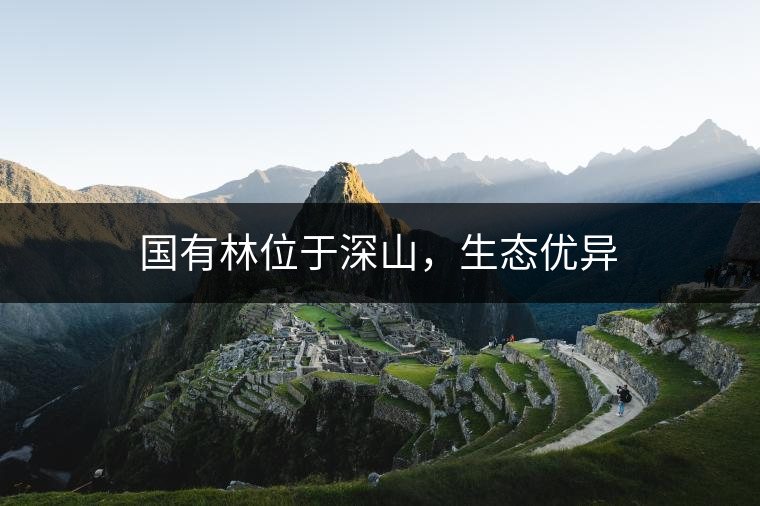 國有林位于深山，生態(tài)優(yōu)異