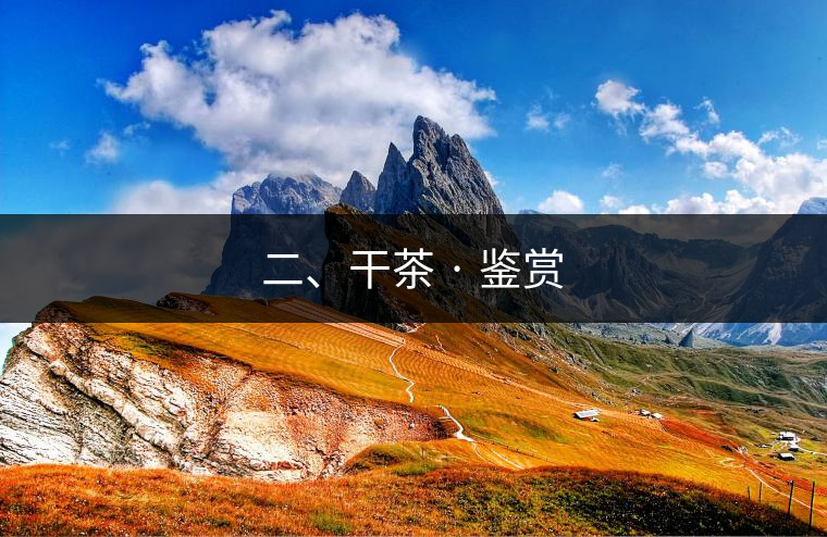 二、干茶 · 鑒賞