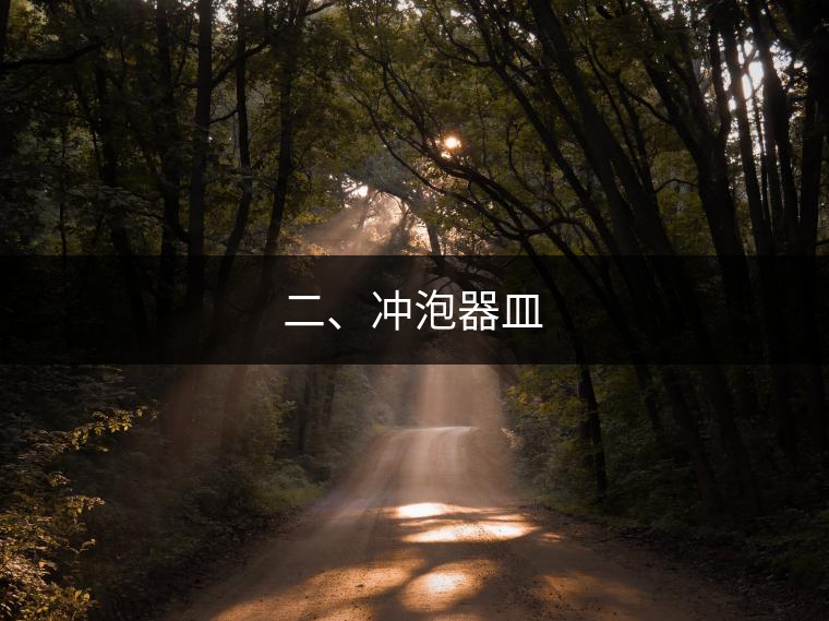 二、沖泡器皿