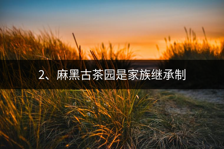 2、麻黑古茶園是家族繼承制