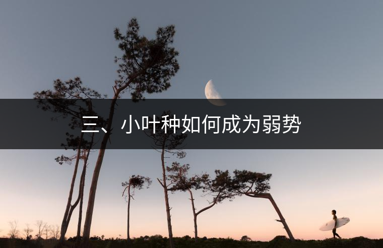 三、小葉種如何成為弱勢