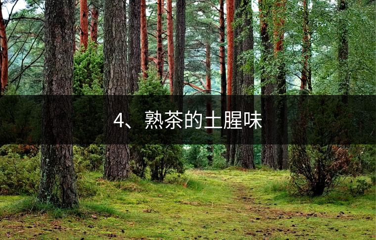 4、熟茶的土腥味