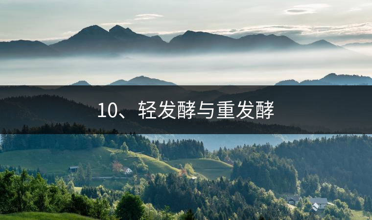 10、輕發(fā)酵與重發(fā)酵
