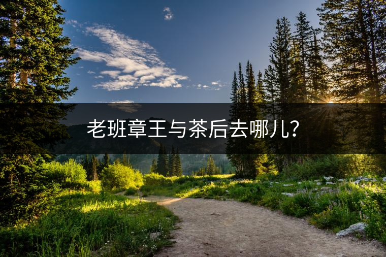 老班章王與茶后去哪兒？