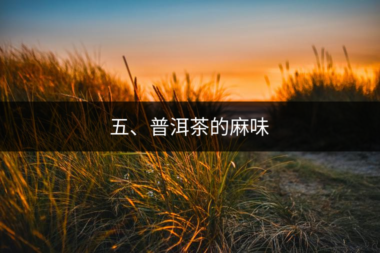 五、普洱茶的麻味