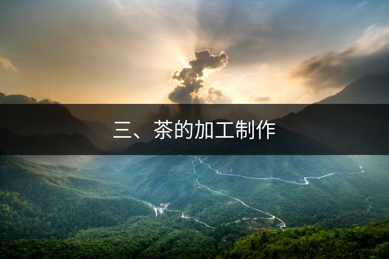三、茶的加工制作