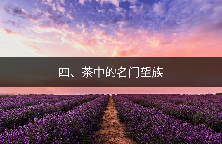 四、茶中的名門望族