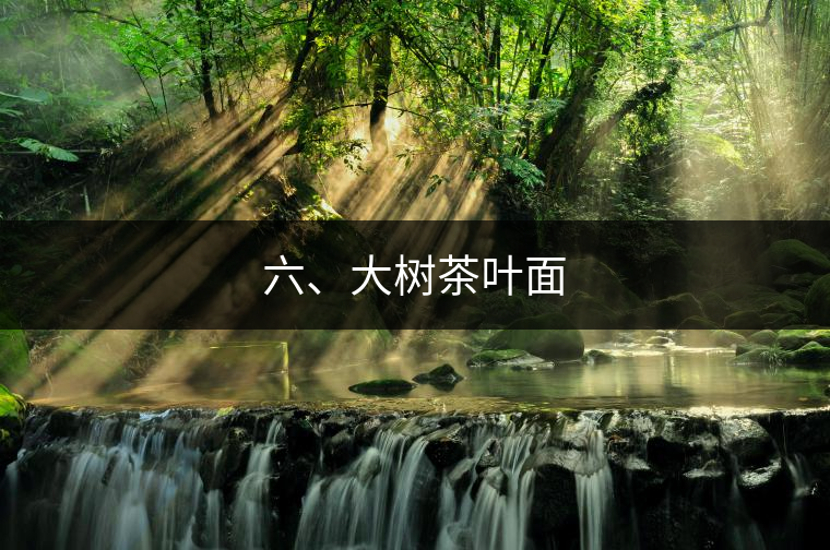 六、大樹茶葉面