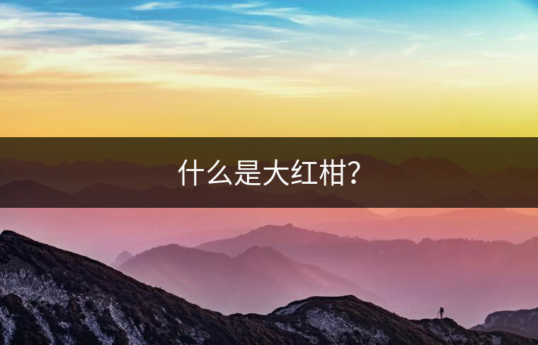 什么是大紅柑？