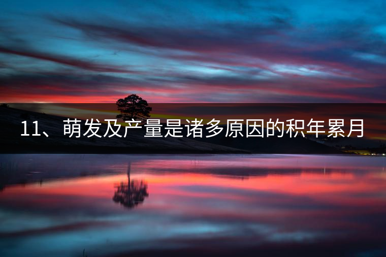 11、萌發(fā)及產(chǎn)量是諸多原因的積年累月的疊加。