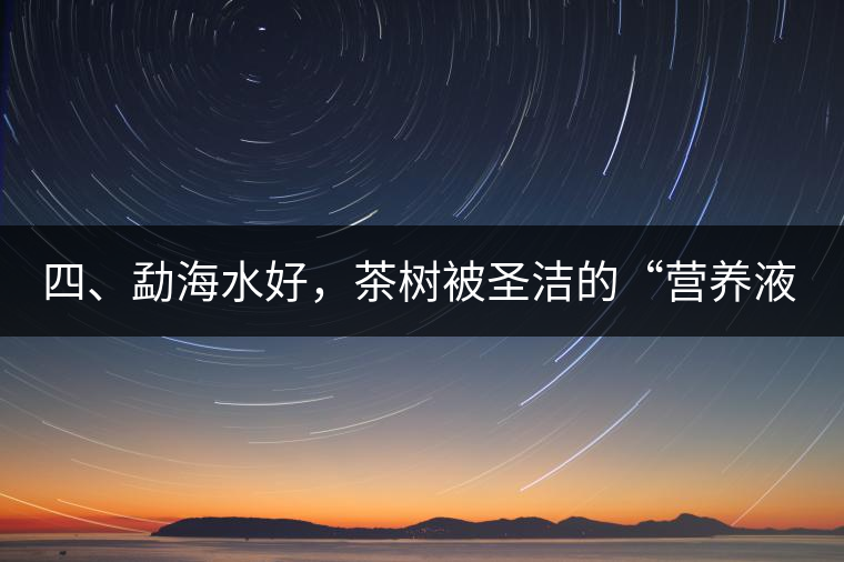 四、勐海水好，茶樹被圣潔的“營養(yǎng)液”所滋養(yǎng)